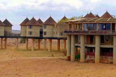 PRIVATE OVERNIGHT SALTLICK SAFARI FROM MOMBASA OR DIANI
