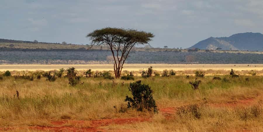 PRIVATE OVERNIGHT TSAVO EAST SAFARI FROM MOMBASA OR DIANI - Why Tsavo East works well for a short safari