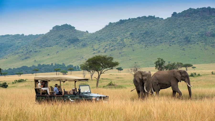 Private Safari Day-Tour in Amboseli National Park - Entering Amboseli and searching for elephants