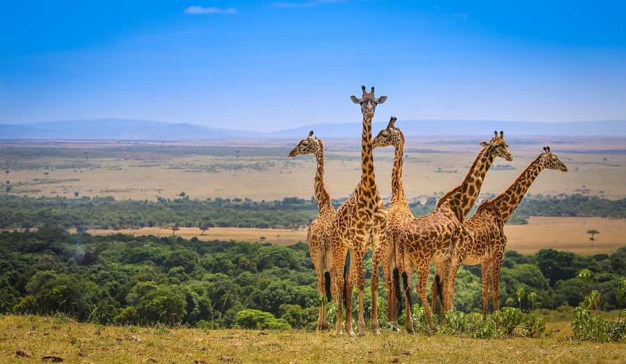 Private Safari Day-Tour in Amboseli National Park - The 5:00 a.m. departure from Nairobi