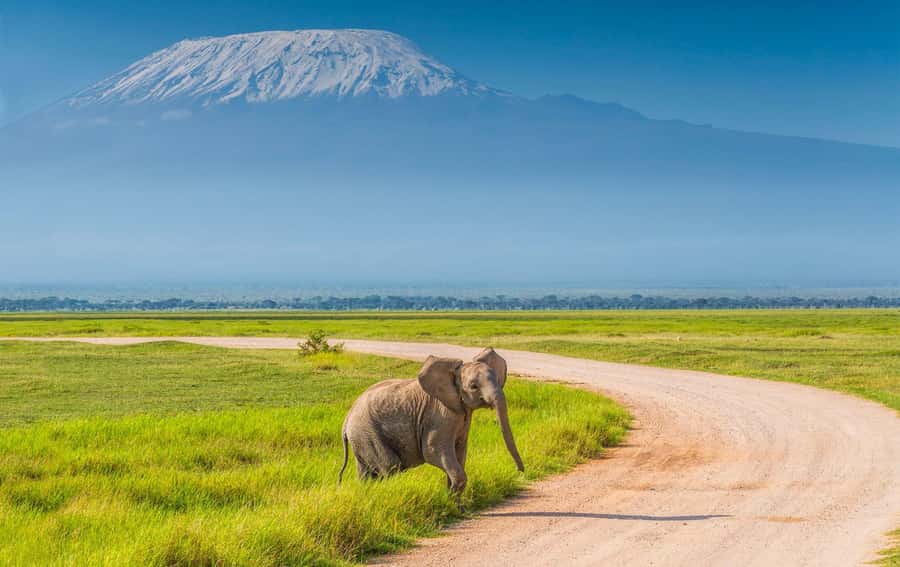 Private Tour to Amboseli National Park - Key points at a glance