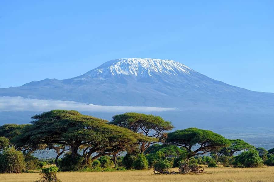 Private Tour to Amboseli National Park - The morning game drive and Amboseli’s animal list
