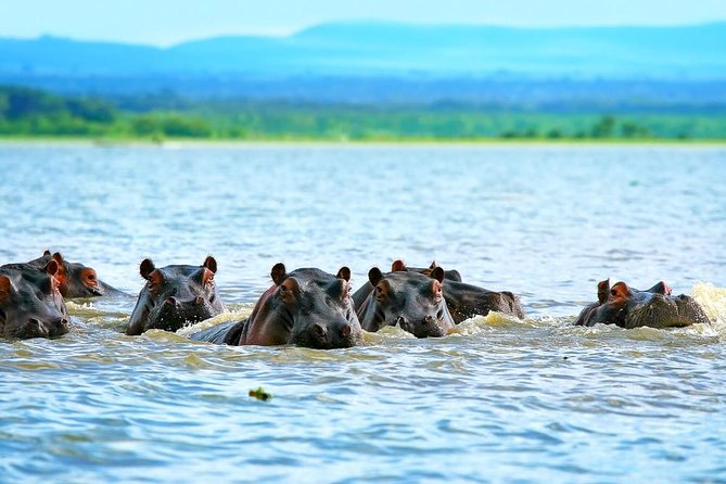 Private Tour to Mount Longonot and Optional Boat Ride on Lake Naivasha - Why this Nairobi day trip works