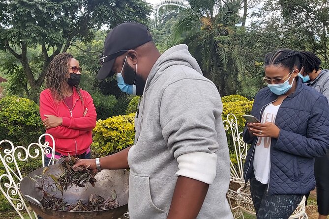 Purple Tea Farm Tour from Nairobi City - Specialty Tea Tasting - Picking purple tea by hand