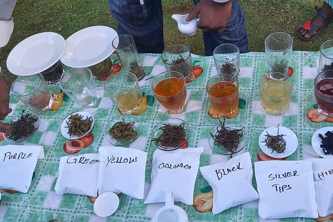 Purple Tea Farm Tour from Nairobi City - Specialty Tea Tasting - Buying fresh Kenyan tea at the mill