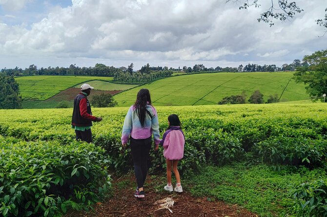 Riara tea farm tour with lunch and tea tasting from Nairobi - Practical planning for the day