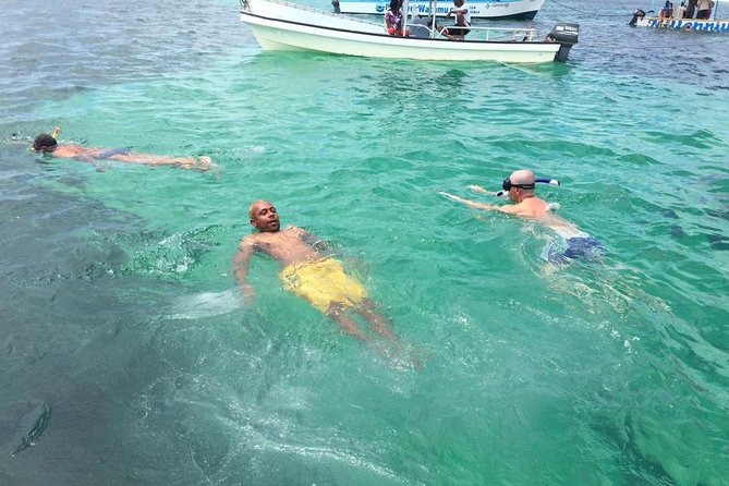 Safari blue - Looking for dolphins in open water