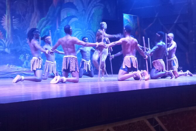 Safari Cat Dancers Show And Dinner - The 9 p.m. dance and acrobatics show