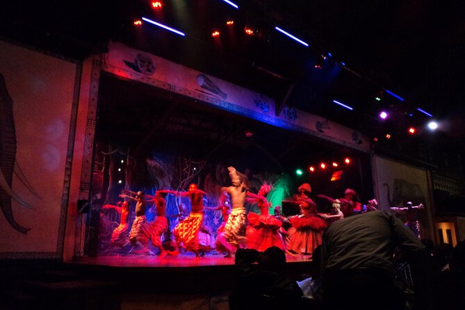 Safari Cat Dancers Show And Dinner - Practical details that affect the evening
