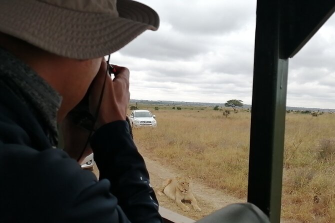 Safari In Nairobi Kenya National Park Half day Tour - Photographs, weather, and what to bring