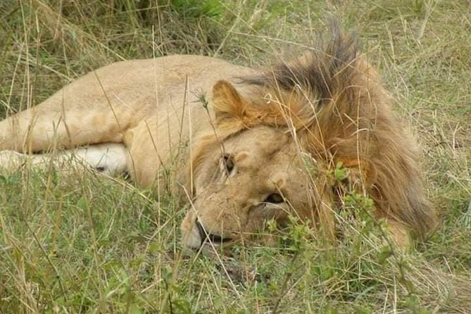 Safari Kenya with Patrick - The lodge question matters
