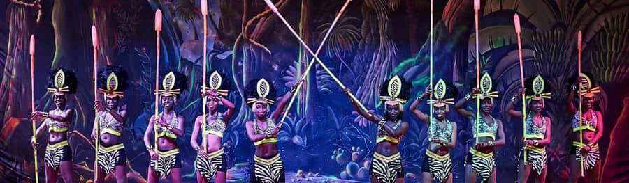 Safari Park Hotel Show & Dinner Experience In Nairobi Tour - Why the acrobatics and drumming matter