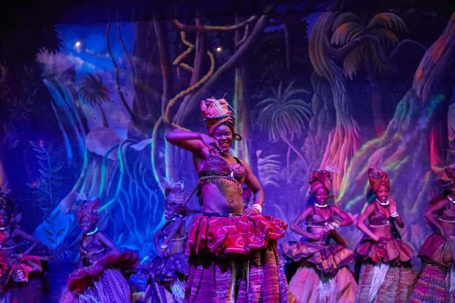 Safari Park Hotel Show & Dinner Experience In Nairobi Tour - Pickup, hotel arrival, and the evening schedule