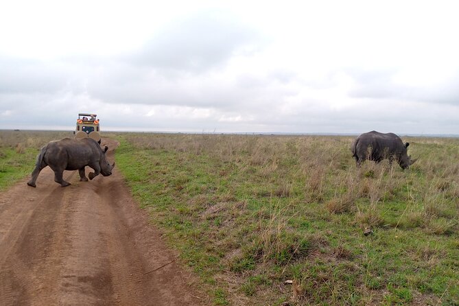 Safari Tour; Nairobi National Park - The city backdrop is part of the experience