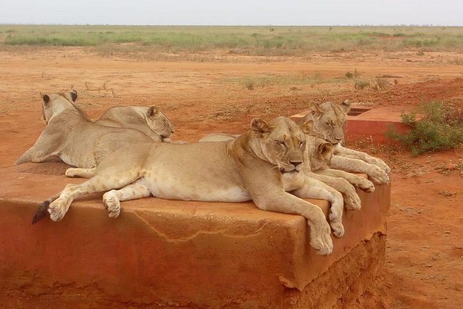 Safari-Tsavo east national park -2 days 1 night - Is $459.43 per person good value?