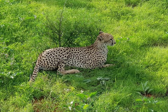 Safari-Tsavo east national park -2 days 1 night - Sala Gate and the Sabaki River stop