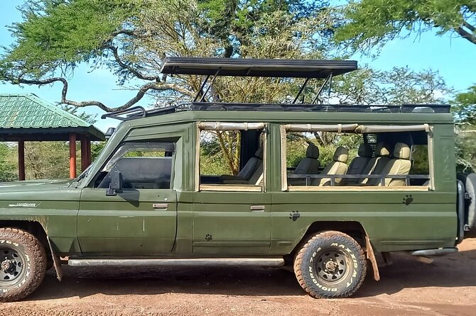 Shared Nairobi National Park Safari Tour - Who should book this Nairobi safari