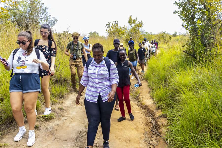 Shimba Hills Day Safari & Sheldrick Falls Hike Private Tour - From the coast to Shimba Hills in a private van