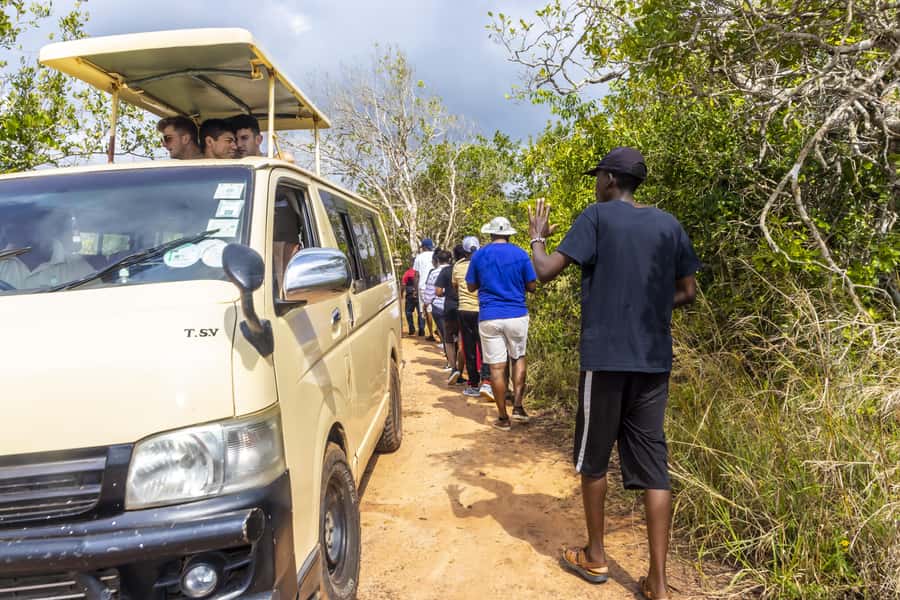 Shimba Hills Day Safari & Sheldrick Falls Hike Private Tour - What the $270 price really covers