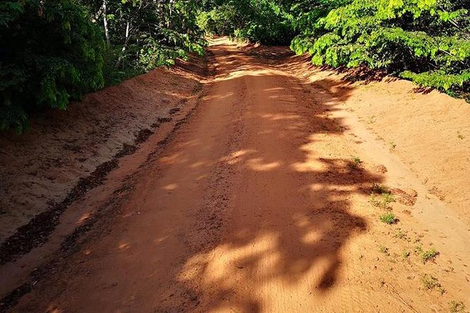 Shimba Hills Excursion - Key points to know before booking