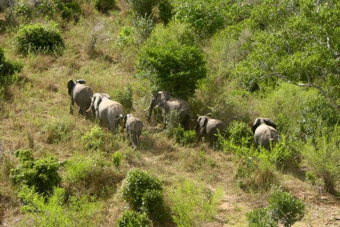Shimba Hills Excursion - Practical details that affect your day