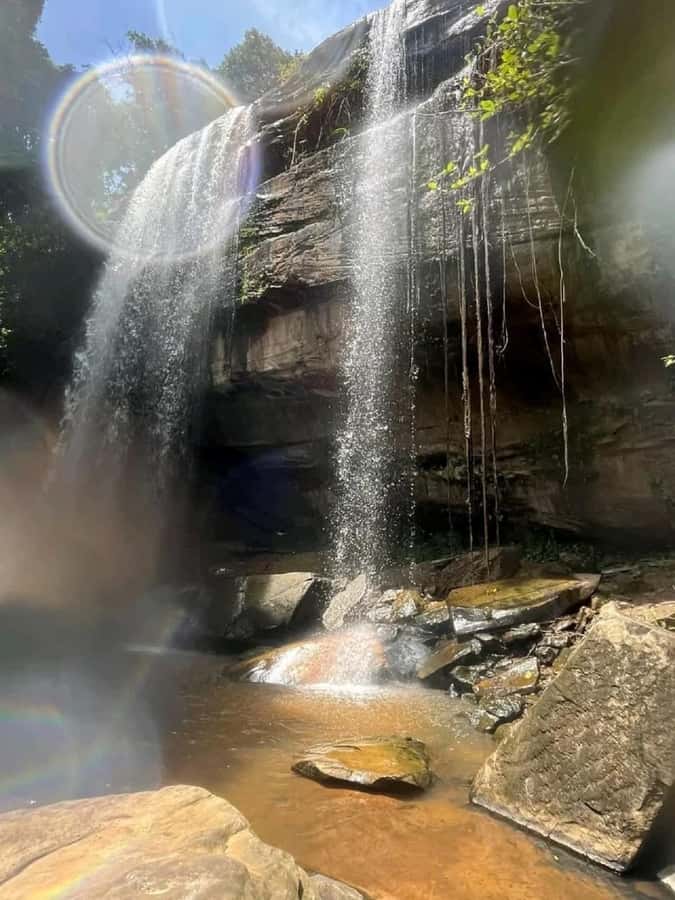 Shimba Hills: Game Drive, Waterfall Hike, and Lunch - Key points at a glance