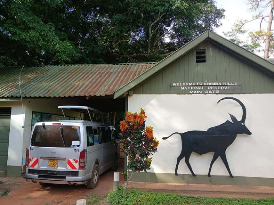 Shimba Hills: Game Drive, Waterfall Hike, and Lunch - Why Shimba Hills makes a good change from the coast