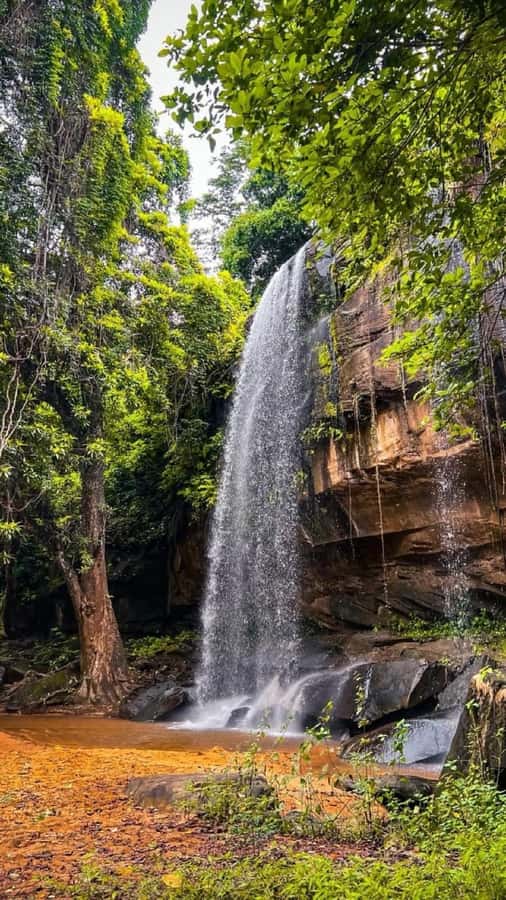 Shimba Hills: Game Drive, Waterfall Hike, and Lunch - The four-hour reserve visit