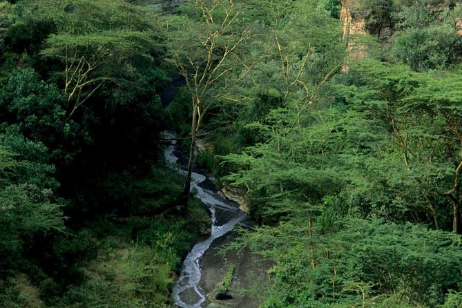 Small Group Budget Tour to Hells Gate National Park and Lake Naivasha Boat Ride - Walking the gorges around 11 a.m.
