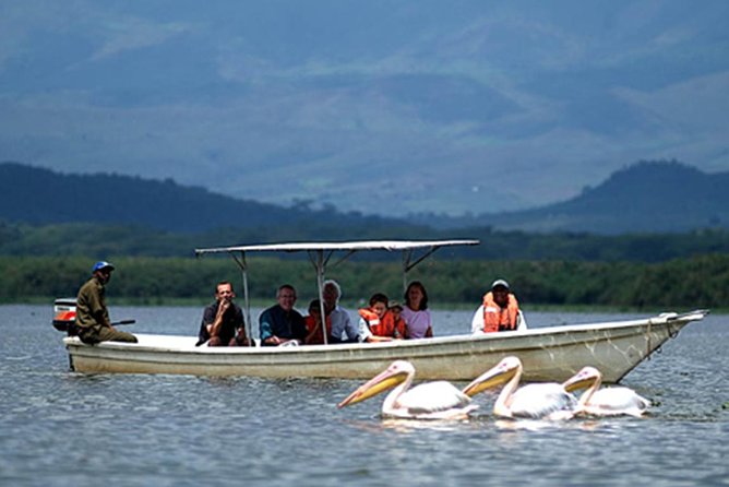 Small Group Budget Tour to Hells Gate National Park and Lake Naivasha Boat Ride - The return to the gate and the shift to Lake Naivasha