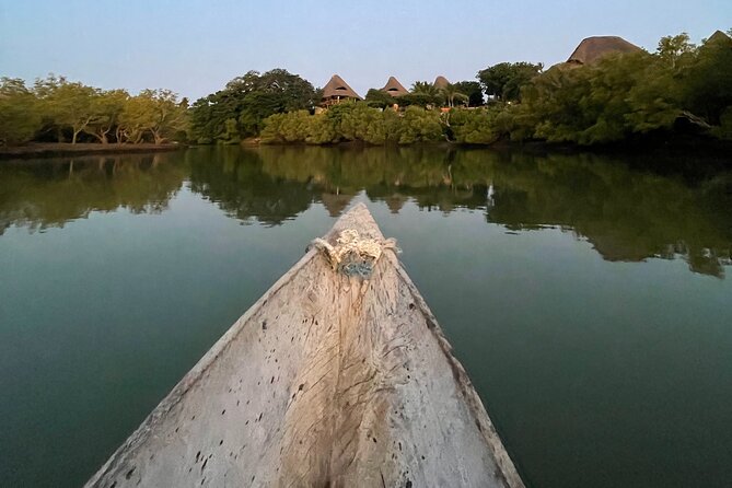 Sunset Canoe Tour on a River within the Mangroves - Mangroves, Baobabs, and Birdlife