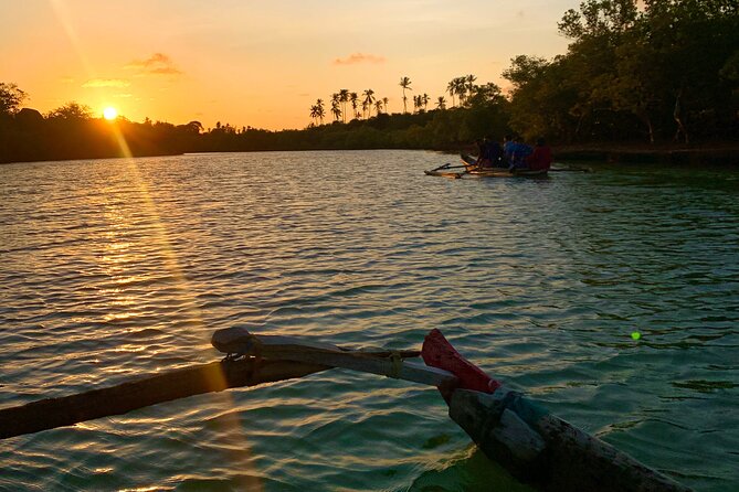 Sunset Canoe Tour on a River within the Mangroves - Learning Why the Mangroves Matter