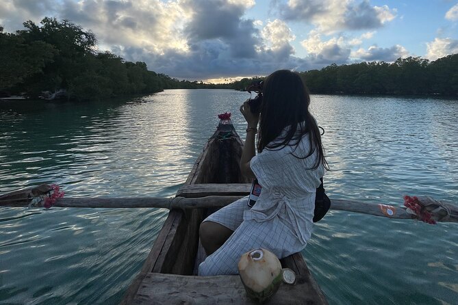 Sunset Canoe Tour on a River within the Mangroves - Is $28 a Fair Price?