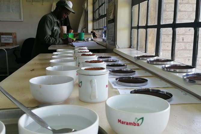 Tea Farm Experience at Riara Tea Farm And Factory Tour - Private travel, timing, and practical comfort