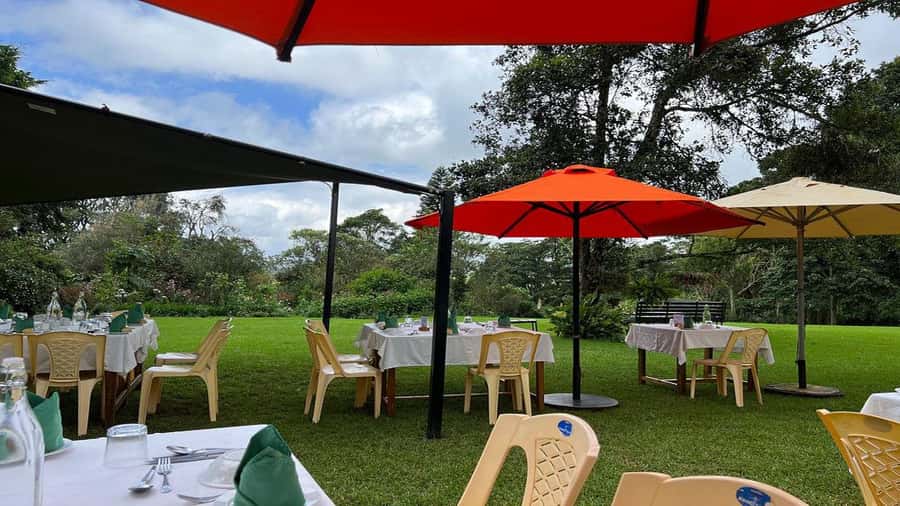 Tea Farm Tour From Nairobi (Kiambethu). - How the transport shapes the day