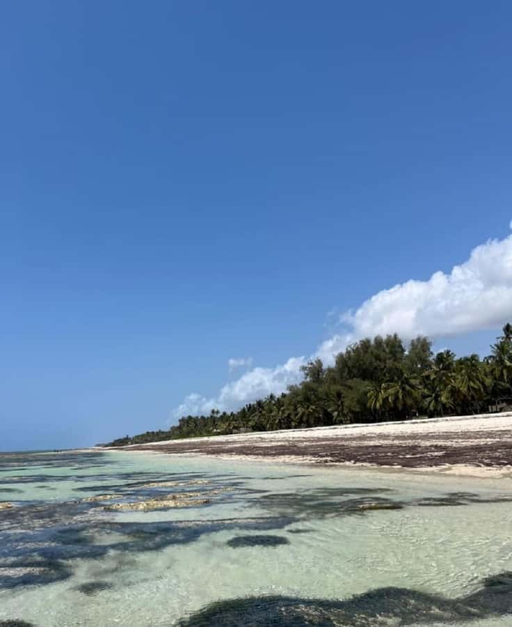 Tiwi Beach: Guided Tour to the African Pool - Why Tiwi’s African Pool is worth your morning