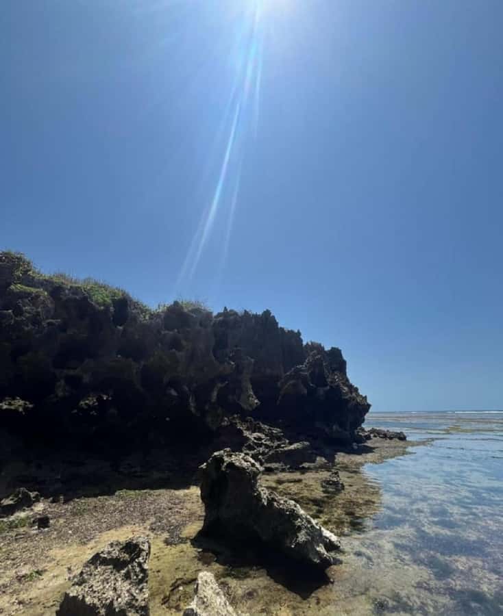 Tiwi Beach: Guided Tour to the African Pool - Is $50 a fair price?