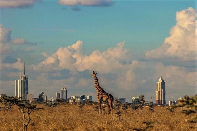Tour: Giraffe Center and Nairobi National Park - Practical details that affect your day