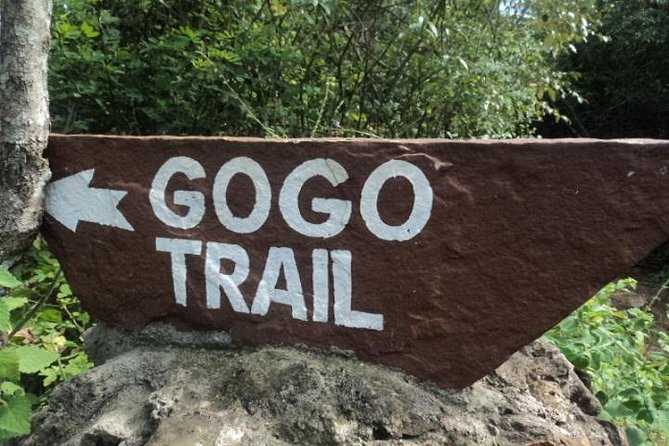 Tour to Giraffe Center from Nairobi - Booking, timing, and cancellation advice