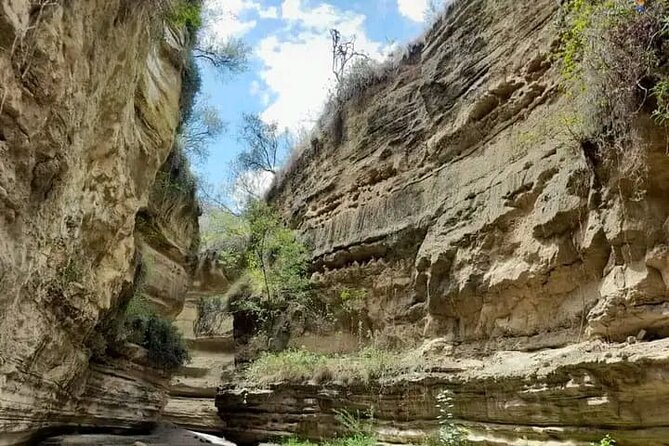 Tour to Hells Gate National park & L Naivasha boat ride - Key points to know before booking