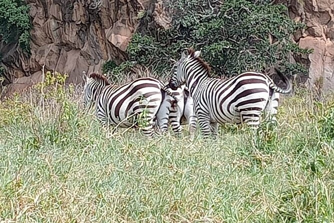 Tour to Hells Gate National park & L Naivasha boat ride - Lunch and the move to Lake Naivasha