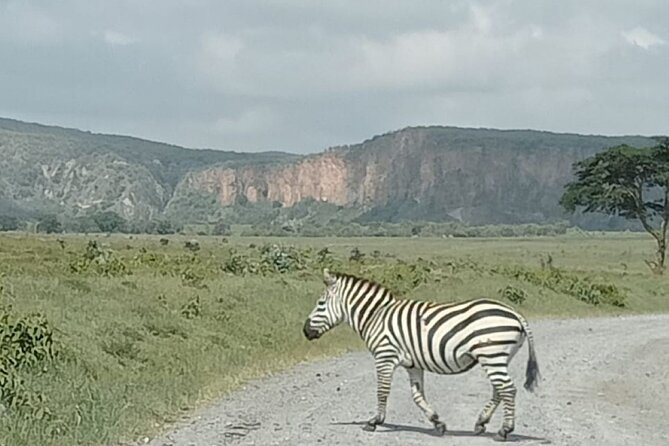 Tour to Hells Gate National park & L Naivasha boat ride - The 7 am pickup and Great Rift Valley drive