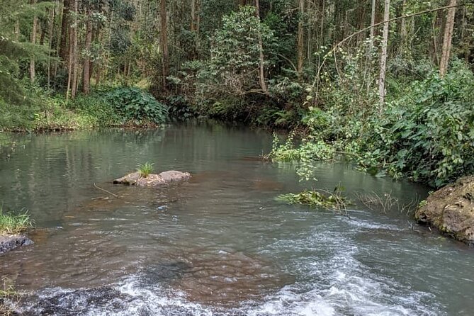Trip from Nairobi to Muranga with Waterfall Hike and Picnic - The 4x4 ride from Westgate to Muranga