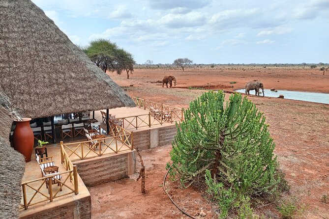 Tsavo East and Ngutuni Sanctuary Safari 3 days from Mombasa - Lugard Falls brings a different kind of drama