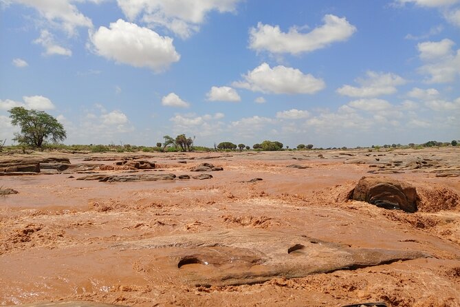 Tsavo East and Ngutuni Sanctuary Safari 3 days from Mombasa - Is $1,370 per person fair value?