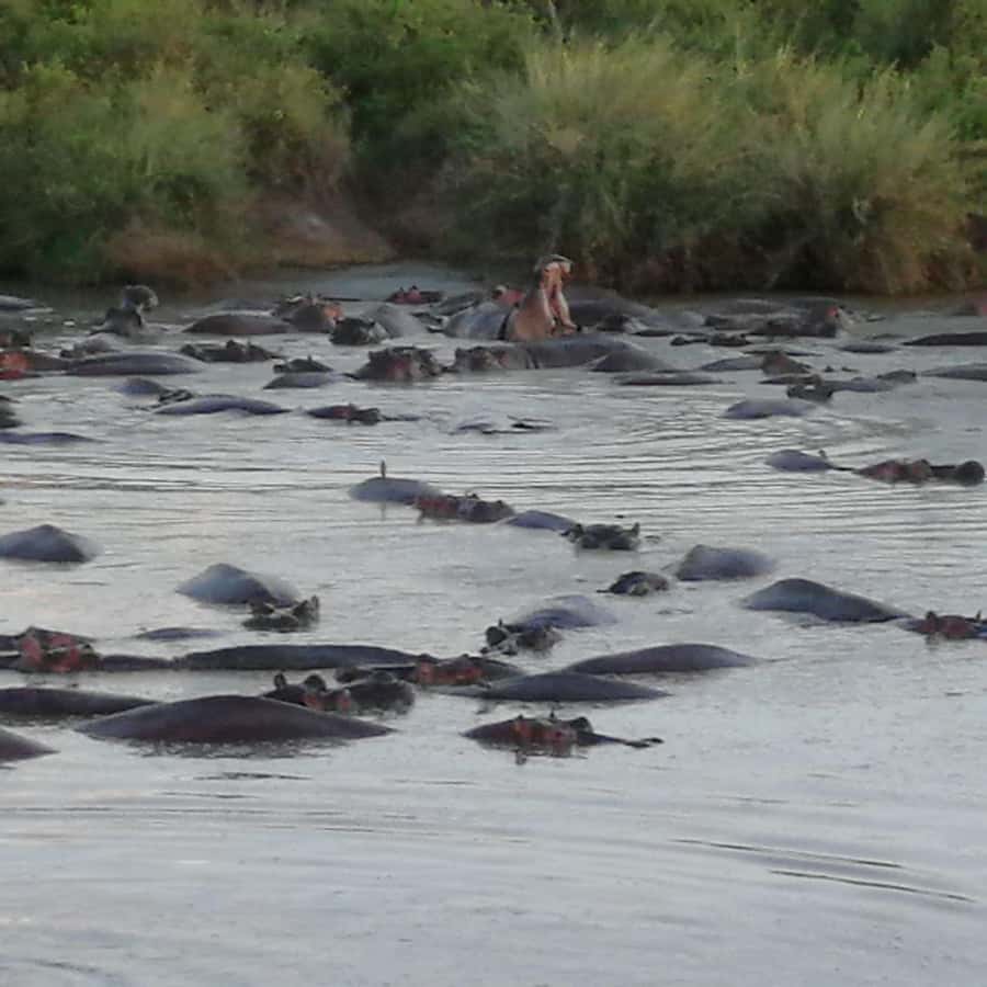 Tsavo East and Tsavo West Sanctuary Safari - Lunch above the Ngutuni waterhole