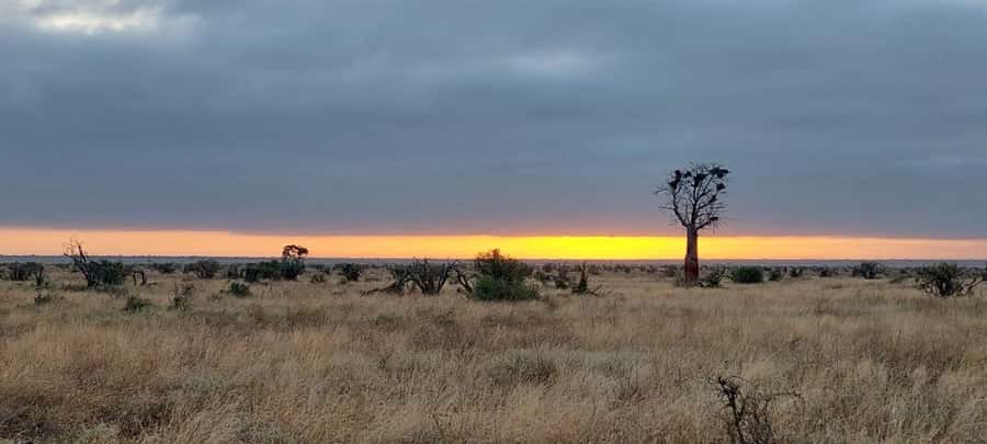 Tsavo East and Tsavo West Sanctuary Safari - Walking toward Ziwani Dam