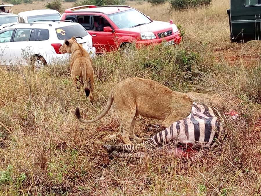 Tsavo East National Park: 2-Day Tour from Mombasa - What to pack for two days