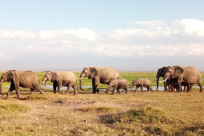Tsavo East & west, Amboseli 5days from Mombasa - Meals, lodges, and the daily pace
