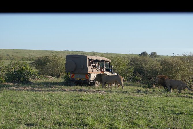 Ultimate 12 Days Private Safari Tour in Kenya and Tanzania - A big East African route in 12 days
